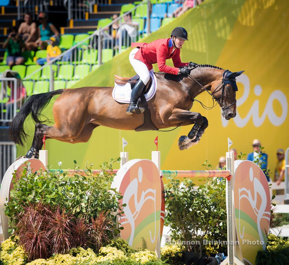 AZUR GARDEN'S HORSES