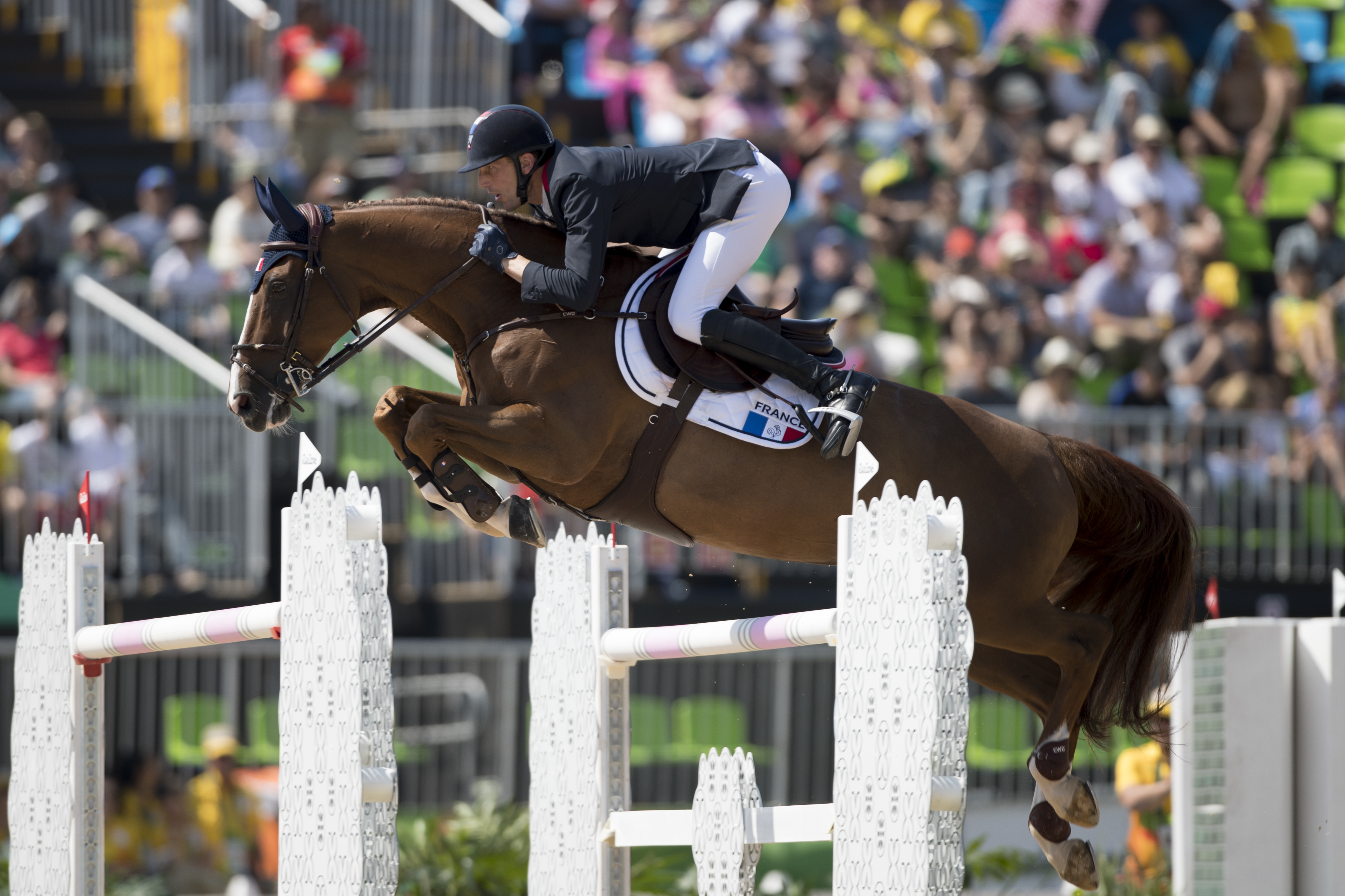 REVEUR DE HURTEBISE (°2001 - Kashmir van Schuttershof/Capricieux des Six Censes – breeder: Séverine Siraux - B-7060 Soignies)