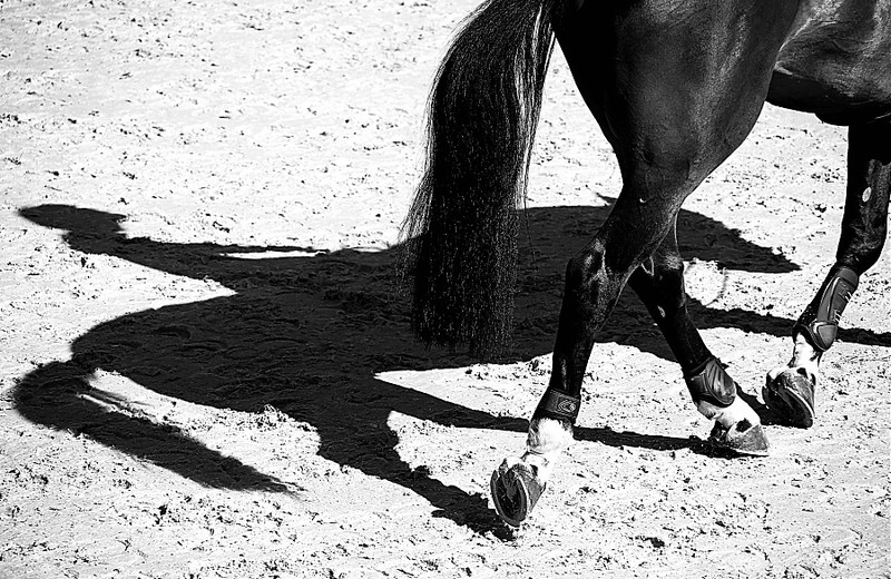 (foto (c) GCT/S.Grasso)