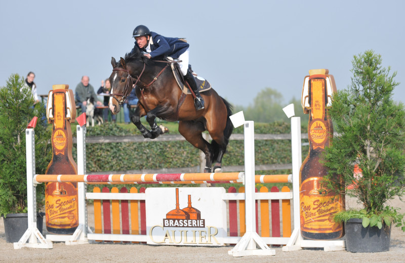 BEL CANTO DU HOUSSOIT (Sherman Sitte/Ogano Sitte – naisseur: F. Dulac à B-7971 Basècles) il y a quelques années au Cycle Classique des Jeunes Chevaux (photo (c) Photo Evénements)