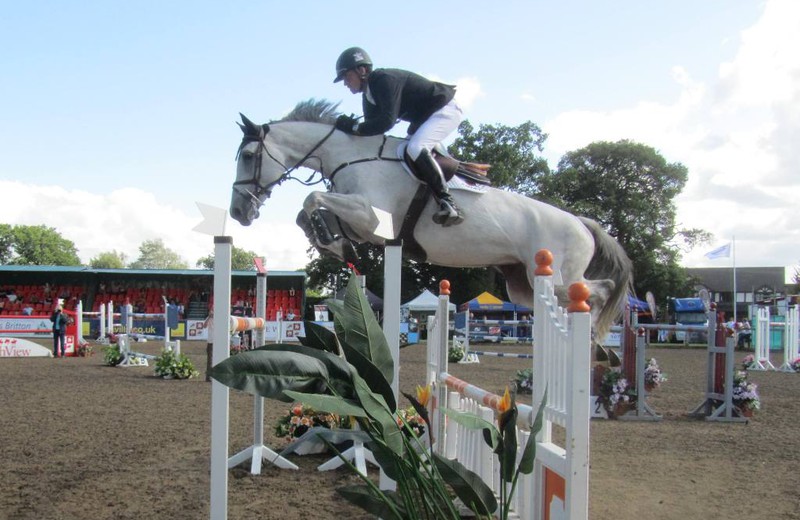 BOMBAY (E.O.) (Lord Z/Bon Ami – fokker: W. Matton te B-9860 Oosterzele), huidig best geklasseerde SBS’ster van de WBFSH-ranking