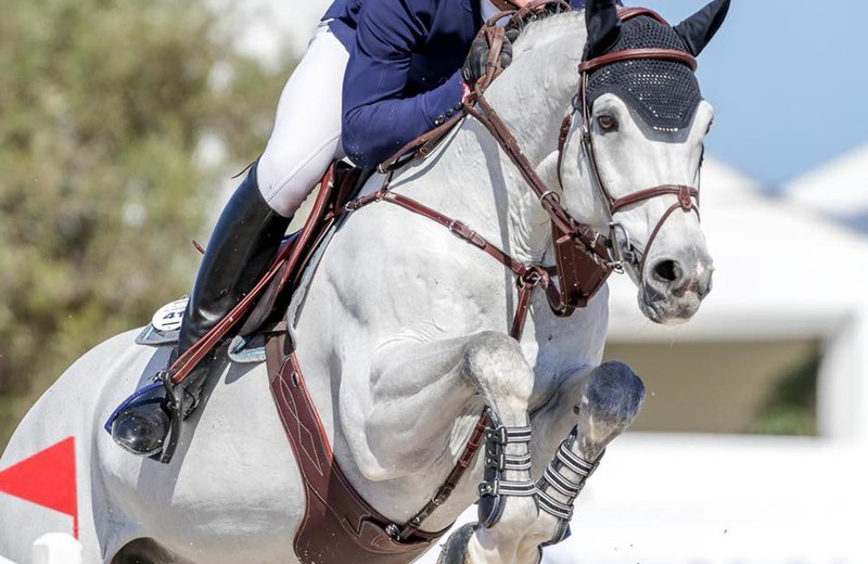 CASANOVA DE L’HERSE (Ugano Sitte x Kashmir van Schuttershof) met François Mathy Jr in topvorm op CSI5* Grimaud (foto: Hubside Jumping)