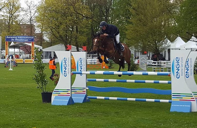 DAISY DU GRAND MOUSTIER E.O. (Quaser de l’Ile x Fidji du Fleury) in 2016, Maubeuge (A. Richard)