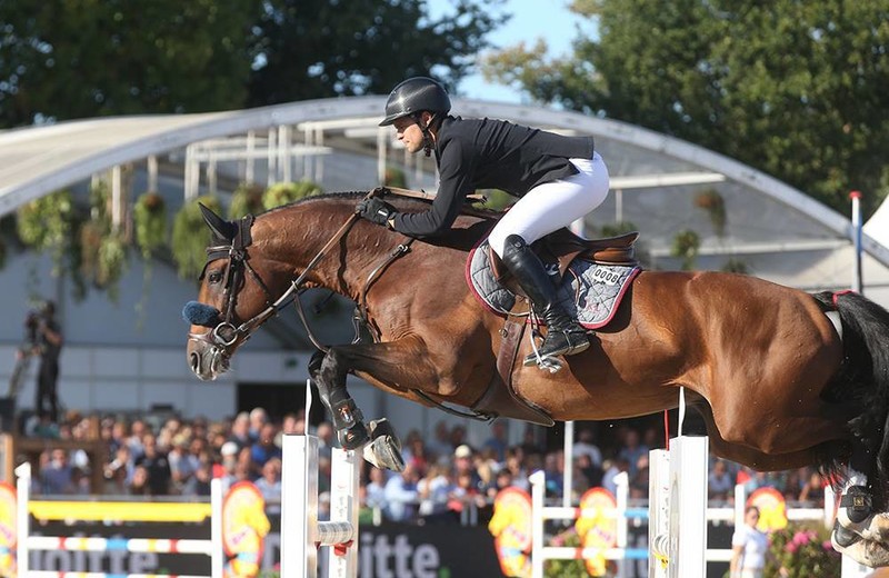 DIEU MERCI VAN T&L (Toulon x Corrado I), 3e over 1m50 op CSI3* Wellington ! (Studforlife)