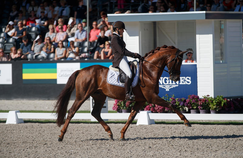 FIRST-STEP VALENTIN (Vitalis/Fidermark), SBS gekeurd, gereden door Larissa Pauluis (photo (c) Hippofoto)