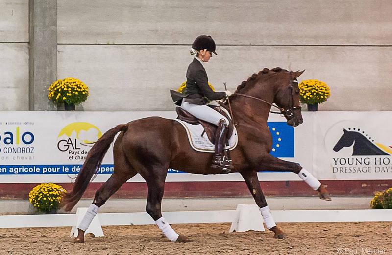 FIRST-STEP VALENTIN (Vitalis/Fidermark), SBS gekeurd, gereden door Larissa Pauluis