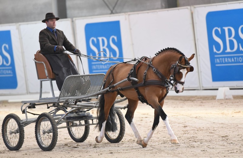 (Photo Evenement)