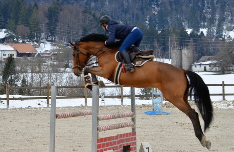 Verkocht in Zwitserland, loopt ISIS DE LA HAIE R.O.+. internationaal sinds 2020 onder Johanne Hermann, met de bedoeling dat Audrey Geiser (5*) haar kan opnemen als wedstrijdpaard.