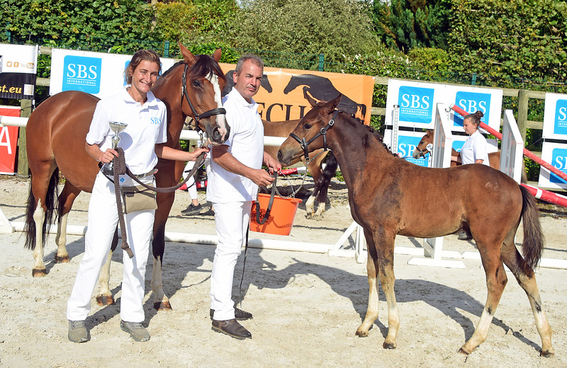 Mevrouw Eugénie Bourdais en PUCCINI HDB (FS Next Diamond x Ulk d’Eté) (Nahalie Geerlandt)