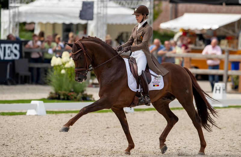 FIRST-STEP VALENTIN (Vitalis/Fidermark) & Larissa Pauluis - World Championship Young Dressage Horses - Ermelo 2019 (c) Dirk Caremans