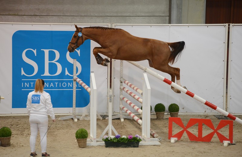 Archieffoto van de International Selection Show 2020 (Polilux)