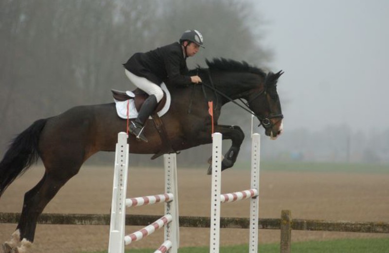 URIEL DEL PIERIRE (Querlybet Hero x Jokinal de Bornival), tijdens de Klassieke Cyclus 2009 (archieffoto PE)