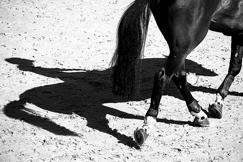 (foto (c) GCT/S.Grasso)