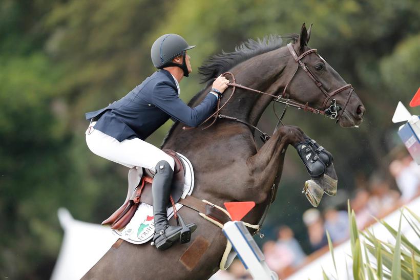 ANGEL VAN’T HOF (E.O.) (Chin Chin/Nabab de Rêve – fokkers: Wendy & Wim Provost te B-9300 Aalst) (foto (c) LGCT/S.Grasso)