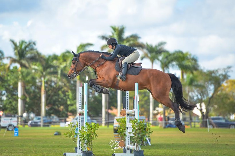DIABOLO D'ESQUELMES (Chin Chin/Carthago - fokker: D. Maillart te B-7520 Ramegnies-Chin) (c) Erin Gilmore