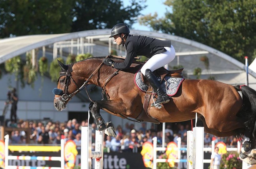 DIEU MERCI VAN T&L (Toulon x Corrado I), 3e over 1m50 op CSI3* Wellington ! (Studforlife)