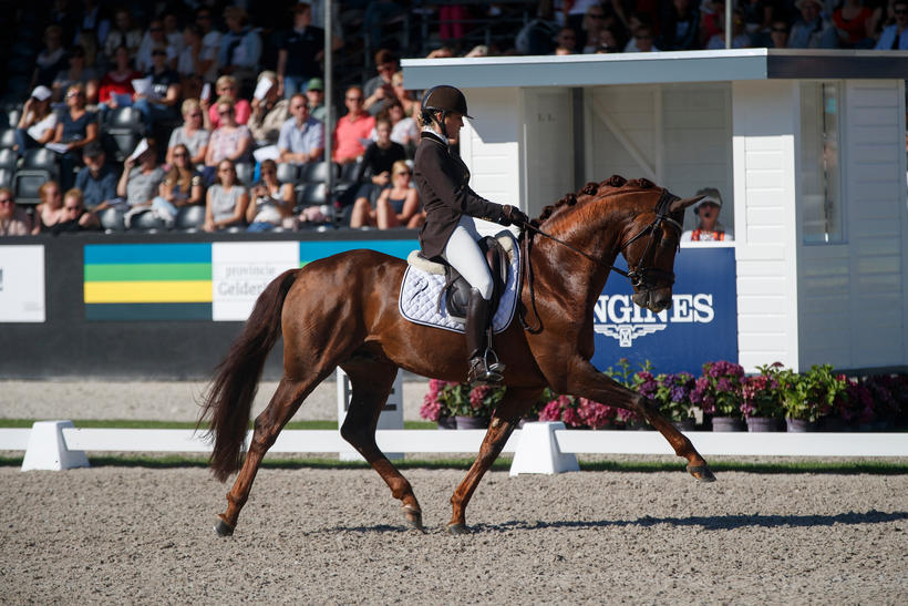 FIRST-STEP VALENTIN (Vitalis/Fidermark), SBS gekeurd, gereden door Larissa Pauluis (photo (c) Hippofoto)