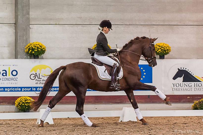 FIRST-STEP VALENTIN (Vitalis/Fidermark), SBS gekeurd, gereden door Larissa Pauluis
