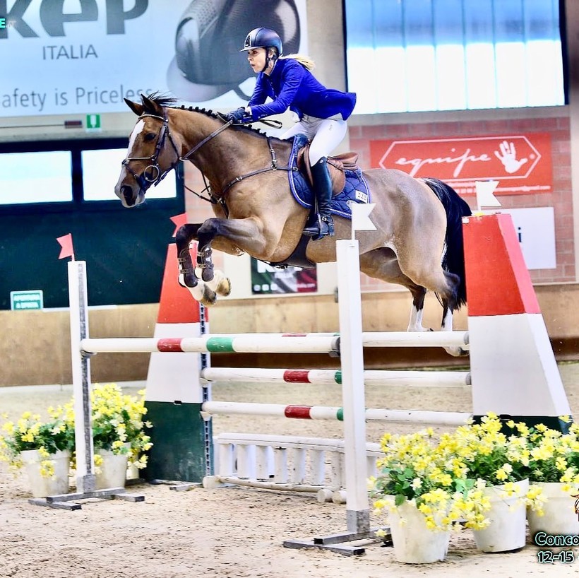 Foto: FRANC PARLER DEW-DROP (Albatros du Pachis x Quidam de Revel) en Chiara Bonaspetti in december 2019.