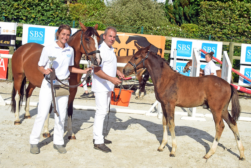 Mevrouw Eugénie Bourdais en PUCCINI HDB (FS Next Diamond x Ulk d’Eté) (Nahalie Geerlandt)