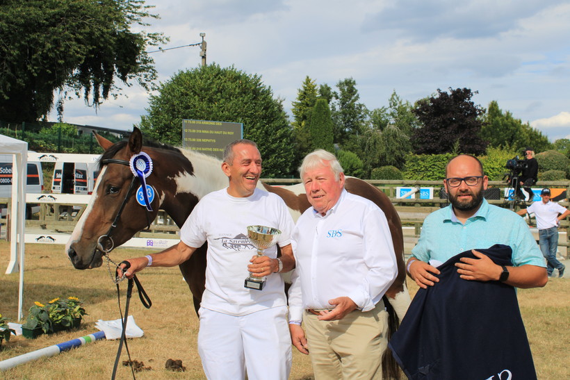 NICE MOON SAVENIERE (SBS, Ice Man du Houssoit x Clinton) en Jean Gallet (Libramont-Chevigny) (foto: L.G. - SBS)