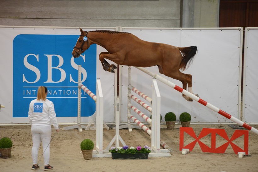 Archieffoto van de International Selection Show 2020 (Polilux)