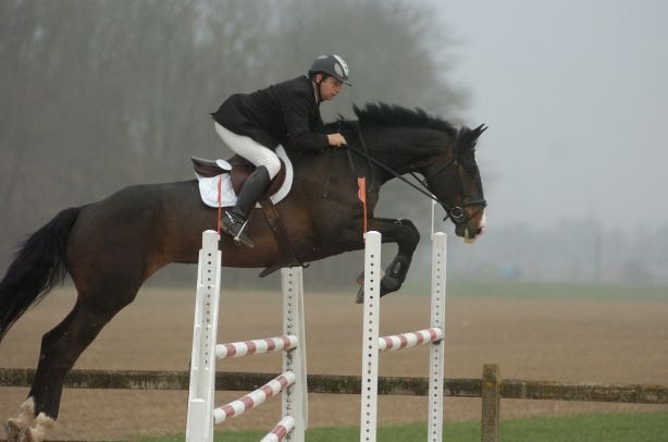 URIEL DEL PIERIRE (Querlybet Hero x Jokinal de Bornival), tijdens de Klassieke Cyclus 2009 (archieffoto PE) 