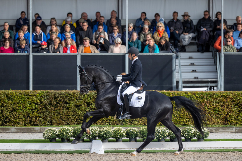 ZONIK PLUS en Justin Verboomen, Longines FEI WBFSH World Breeding Dressage Championships Young Horses Emelo, september 2022 (foto: Dirk Caremans)
