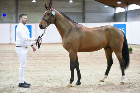 (Photo Evenement)