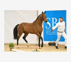 (Photo Evenement)