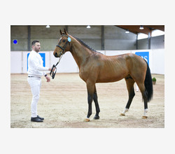 (Photo Evenement)