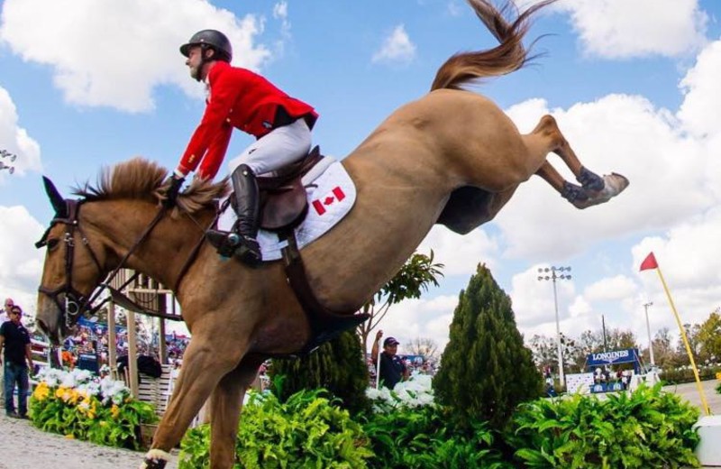 CHANEL DU CALVAIRE E.O. (Luccianno x Kashmir van Schuttershof) en François Lamontagne (FL)