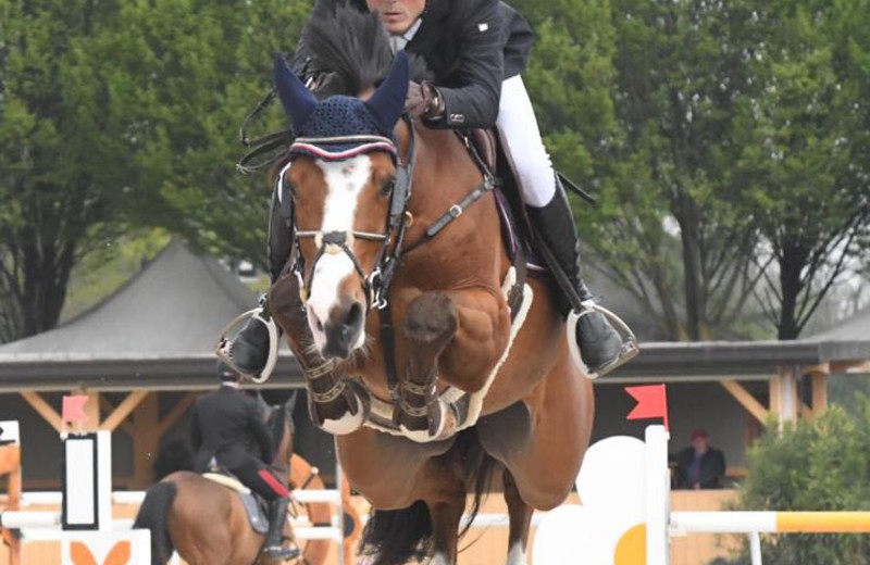 GEORGE ALEXANDER in maart 2019 op de Etrea Horse Show in Busto Arsizio (Stefano Sacchi Team)