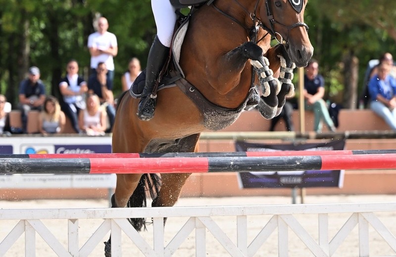 Jive Star d’Arezzo en de jonge amazone Lou Morali (foto: Agence Ecary)