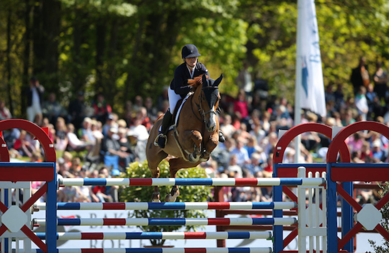 UGAULIN DU BOSQUETIAU Kashmir van Schuttershof x Sea Harvest) (hippofoto)