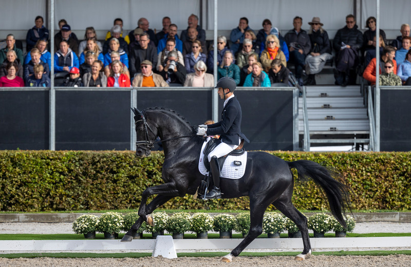 ZONIK PLUS en Justin Verboomen, Longines FEI WBFSH World Breeding Dressage Championships Young Horses Emelo, september 2022 (foto: Dirk Caremans)
