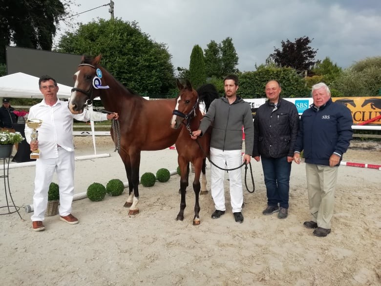 BELLE DU MAS D’EOLE Z (Burberry DK Z x Clover Hill XX), geboren bij Jean Lefort (CR)