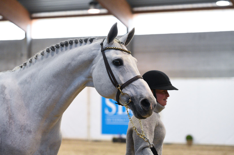 Een emotioneel moment met MJT NEVADOS S, Europees kampioen en Olympisch medaillewinnaar (Photo Evenement)