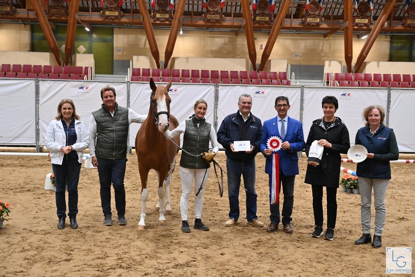 OPUS ONE HDB (FS Numéro Uno x Ilk d’Eté), zegeviert op het Kampioenschap van Frankrijk bij de 2- jarige Pony’s (merries en ruinen) in Saumur 2022! (foto: France Dressage)