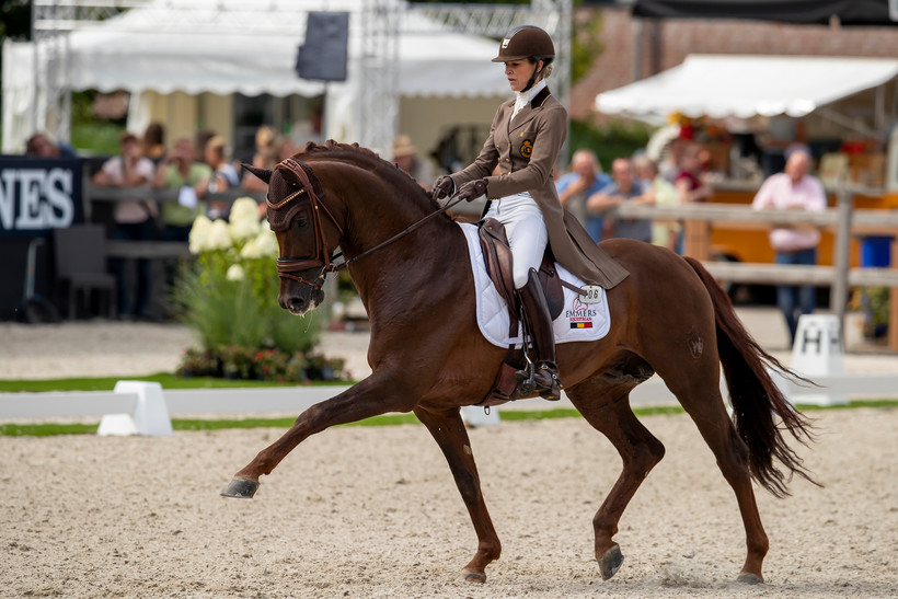 FIRST-STEP VALENTIN (Vitalis/Fidermark) & Larissa Pauluis - World Championship Young Dressage Horses - Ermelo 2019 (c) Dirk Caremans