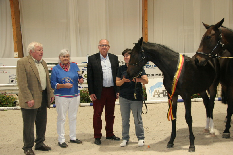 QUANTARA BIOLLEY (Diablue PS x Chacco Me Biolley) (foto: C.R. - SBS)