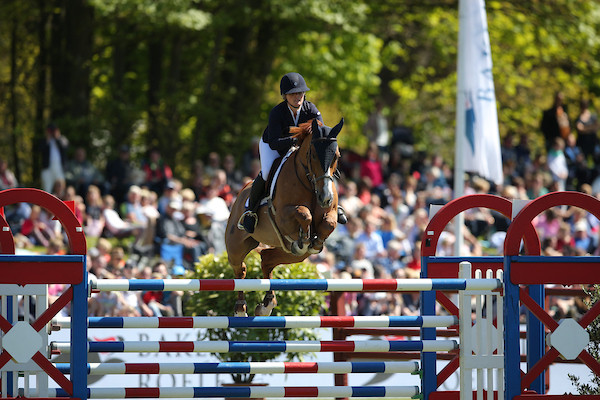 UGAULIN DU BOSQUETIAU Kashmir van Schuttershof x Sea Harvest) (hippofoto)