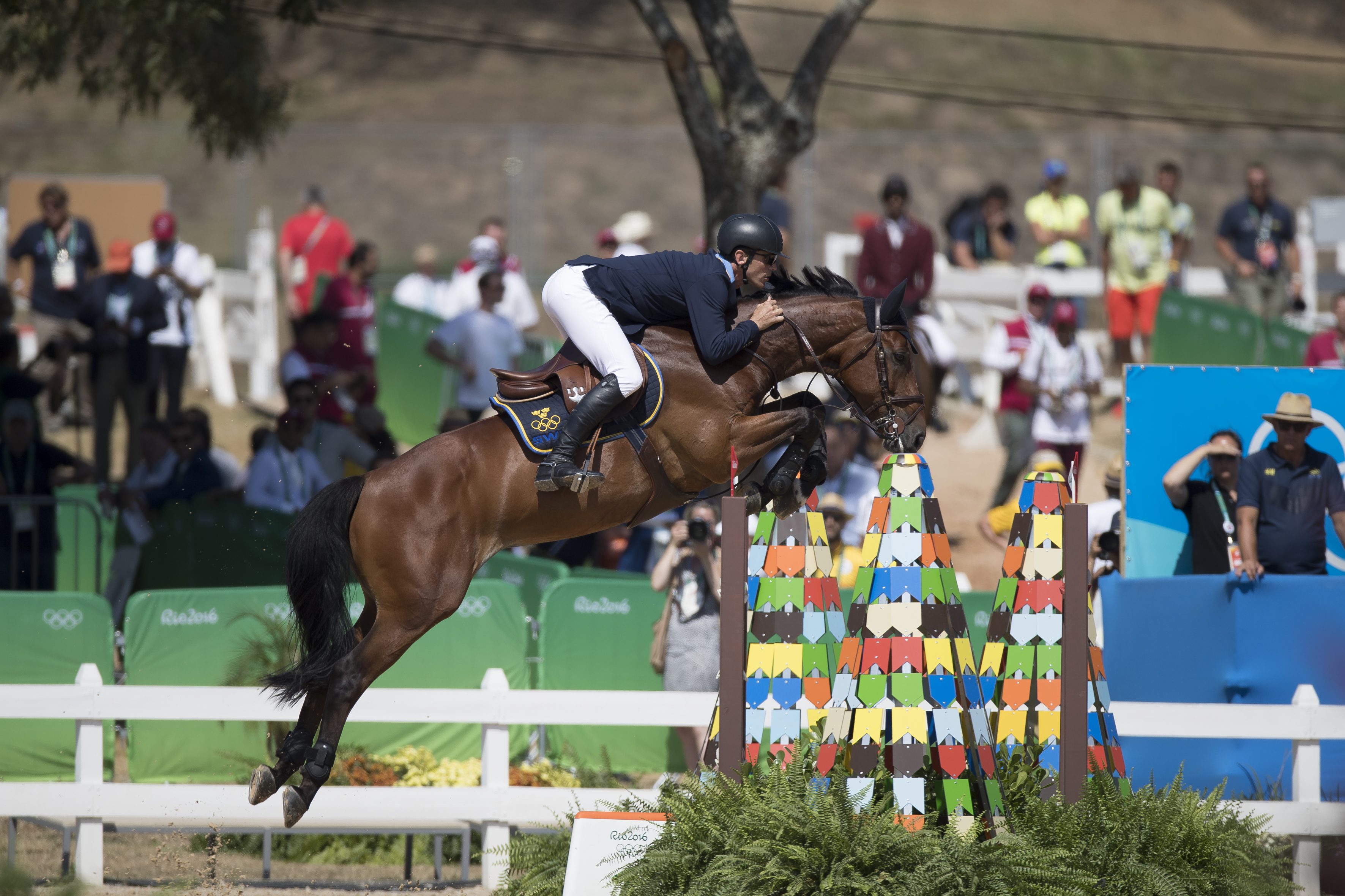 ALL-IN (picture (C) Hippofoto)